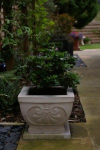 Square Stone Planter (T1)