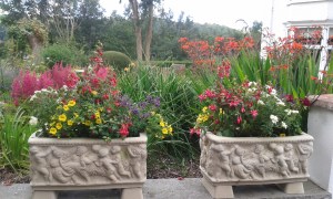 Two Small Troughs (TR8)